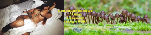 дурь Арсеньев