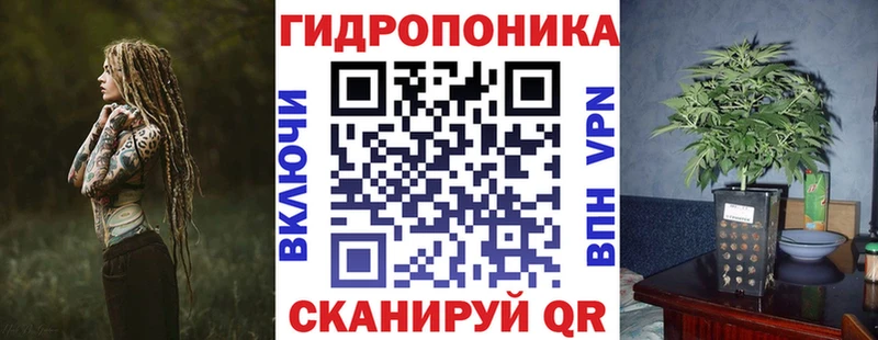 Марихуана OG Kush  kraken ССЫЛКА  Магас 